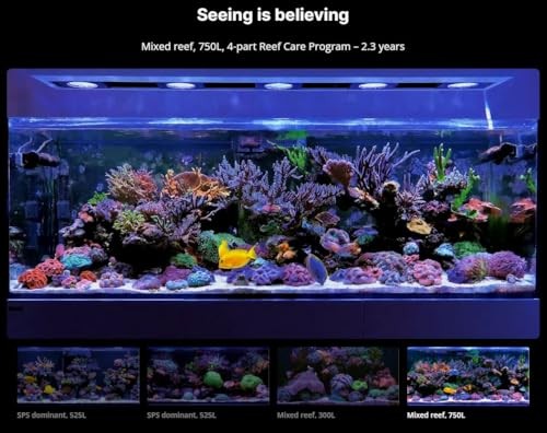 Red Sea Medium (80 Gallon) 4-Part RCP Complete Reef Care Supplement Dosing System for Saltwater Mixed Reef Marine Aquariums for Optimal Coral Growth