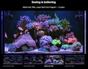 Red Sea Medium (80 Gallon) 4-Part RCP Complete Reef Care Supplement Dosing System for Saltwater Mixed Reef Marine Aquariums for Optimal Coral Growth