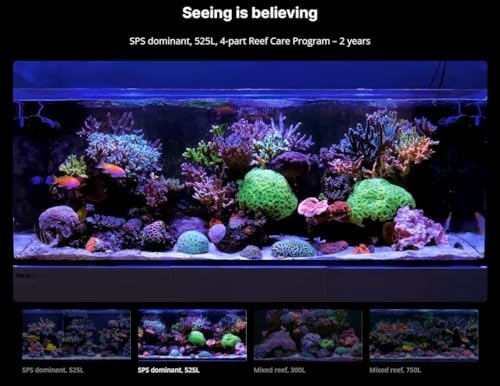 Red Sea Medium (80 Gallon) 4-Part RCP Complete Reef Care Supplement Dosing System for Saltwater Mixed Reef Marine Aquariums for Optimal Coral Growth