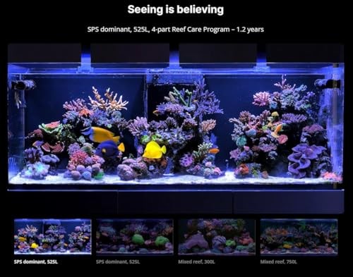 Red Sea Medium (80 Gallon) 4-Part RCP Complete Reef Care Supplement Dosing System for Saltwater Mixed Reef Marine Aquariums for Optimal Coral Growth