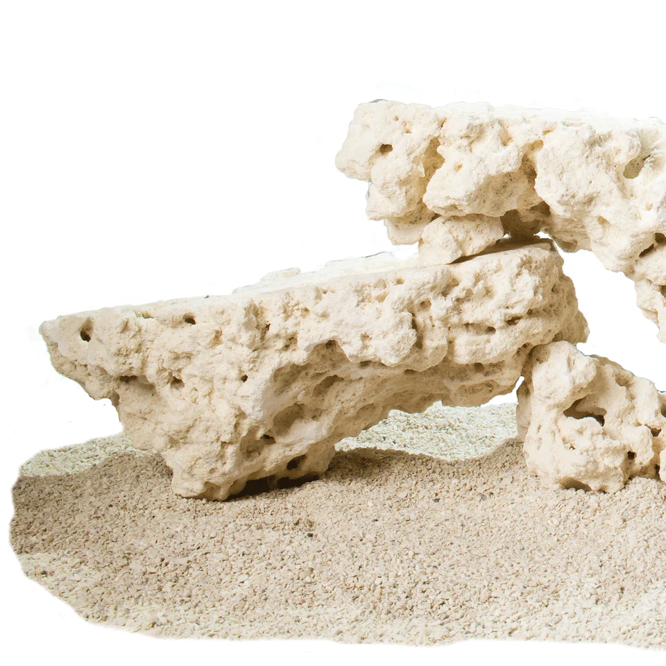 Roca Carib Sea Shelf por Kg