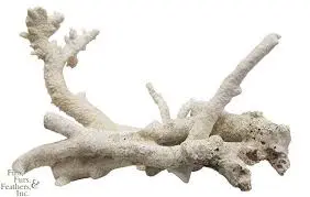 Roca Fiji Branch x kg