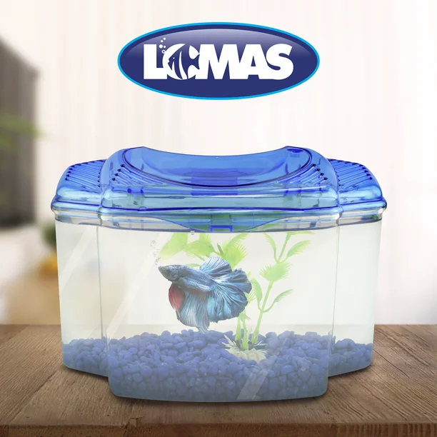 KIT BETTERA AZUL LOMAS 1.8lts